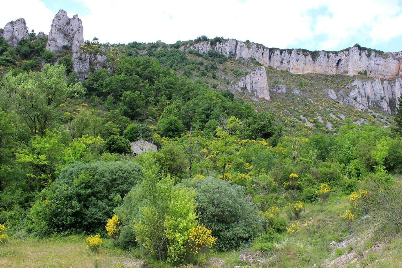 Maison De Vignes De Tournemire Tournemire  Экстерьер фото
