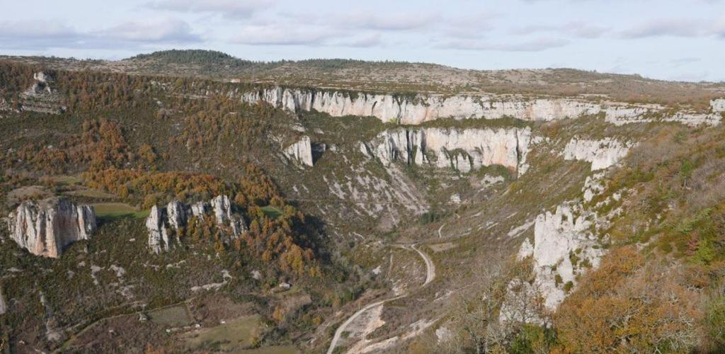 Maison De Vignes De Tournemire Tournemire  Экстерьер фото