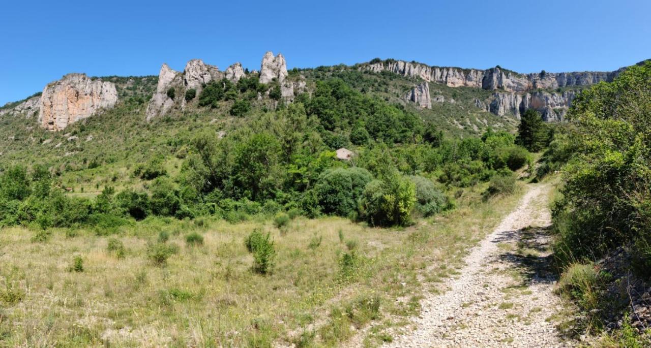 Maison De Vignes De Tournemire Tournemire  Экстерьер фото