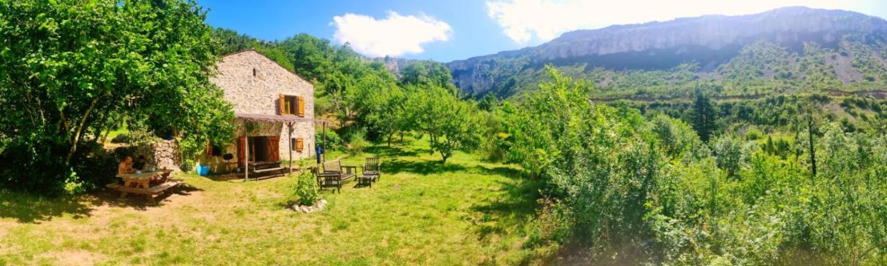 Maison De Vignes De Tournemire Tournemire  Экстерьер фото